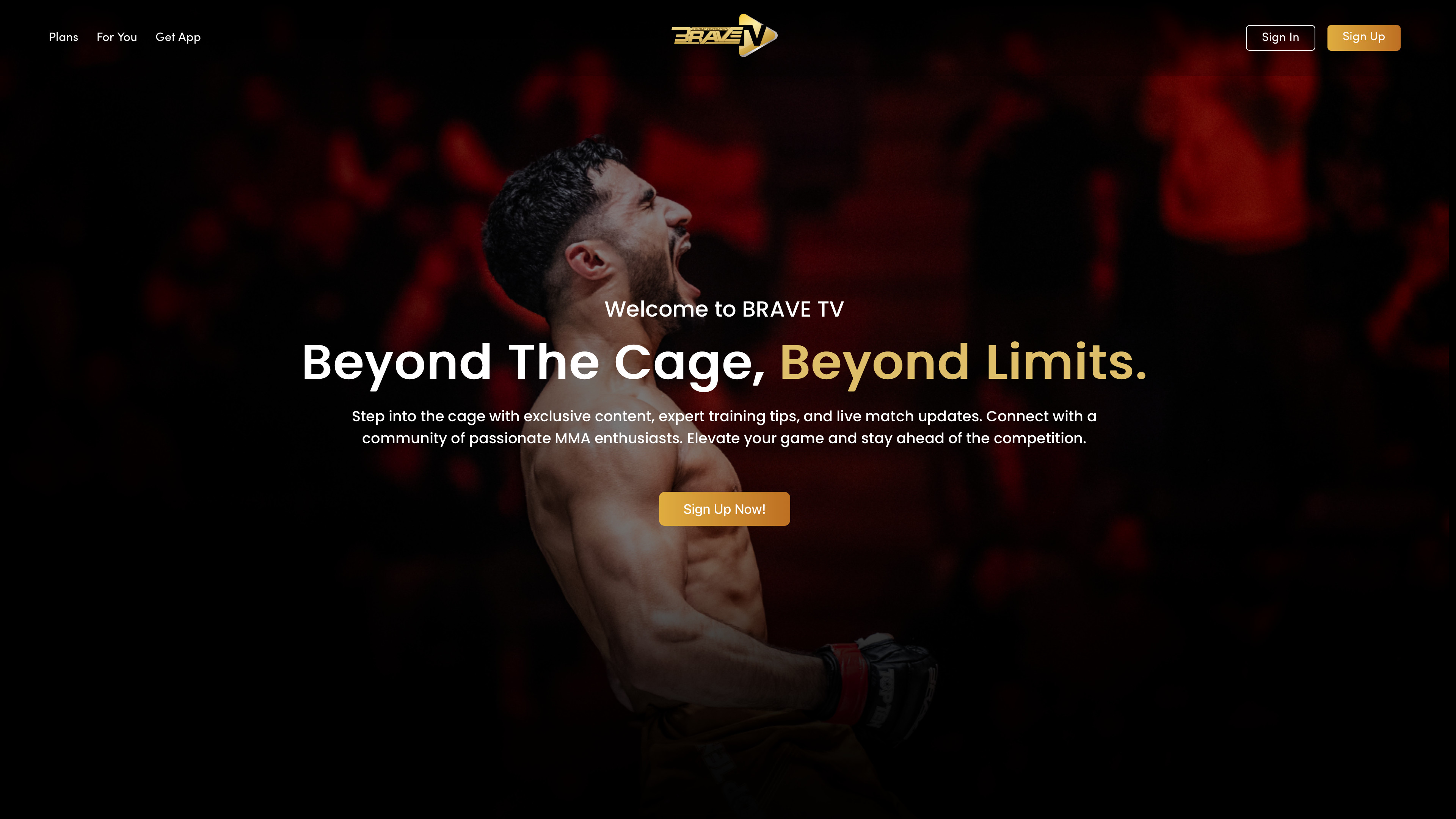 BRAVE TV - Global OTT streaming platform reaching #1 on App Store